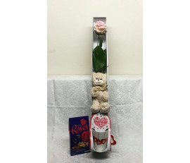 FR222(Only you )single rose with chocolate,bear &love cup from $49.99 L:$69.99choose colour from red,white,pink,purple,yellow&orange